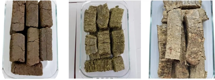 20260205142129 20260205142129